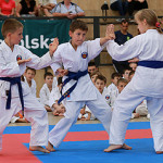 Mistrzostwa Polski Shorin Ryu Karate - Rytro